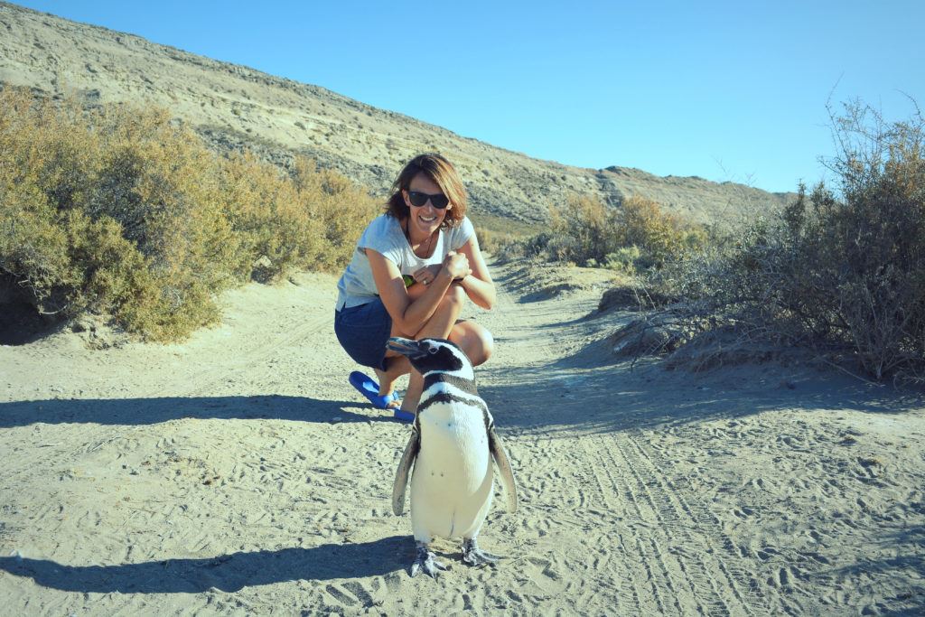 Día De Campo Y Visita A Colonia De Pingüinos