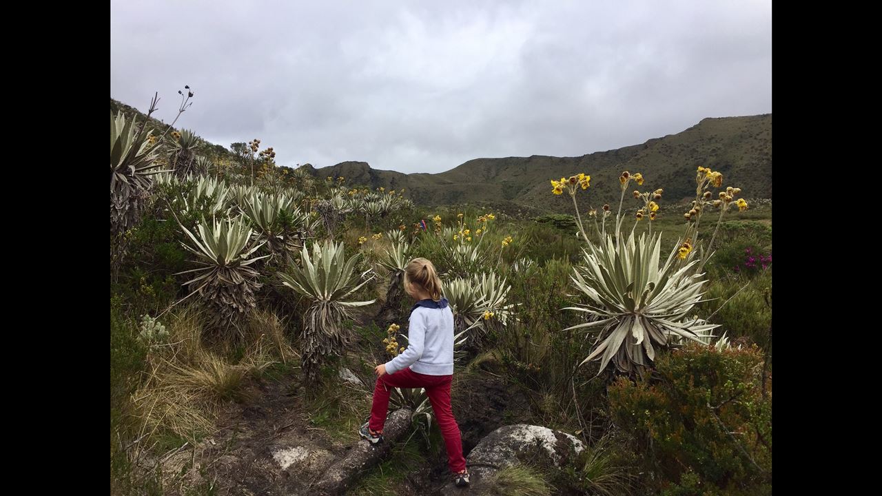 Ecotour Al Parque Nacional Chingaza