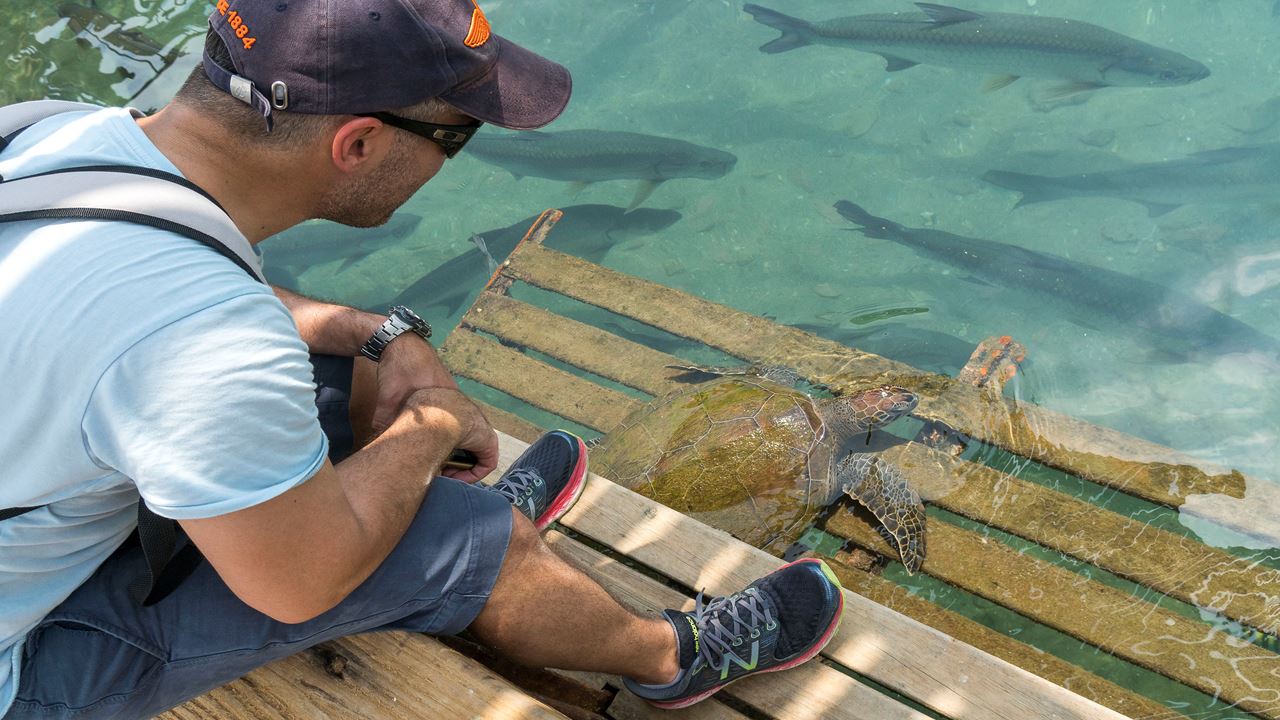 El Rodadero: Aquário E Playa Blanca
