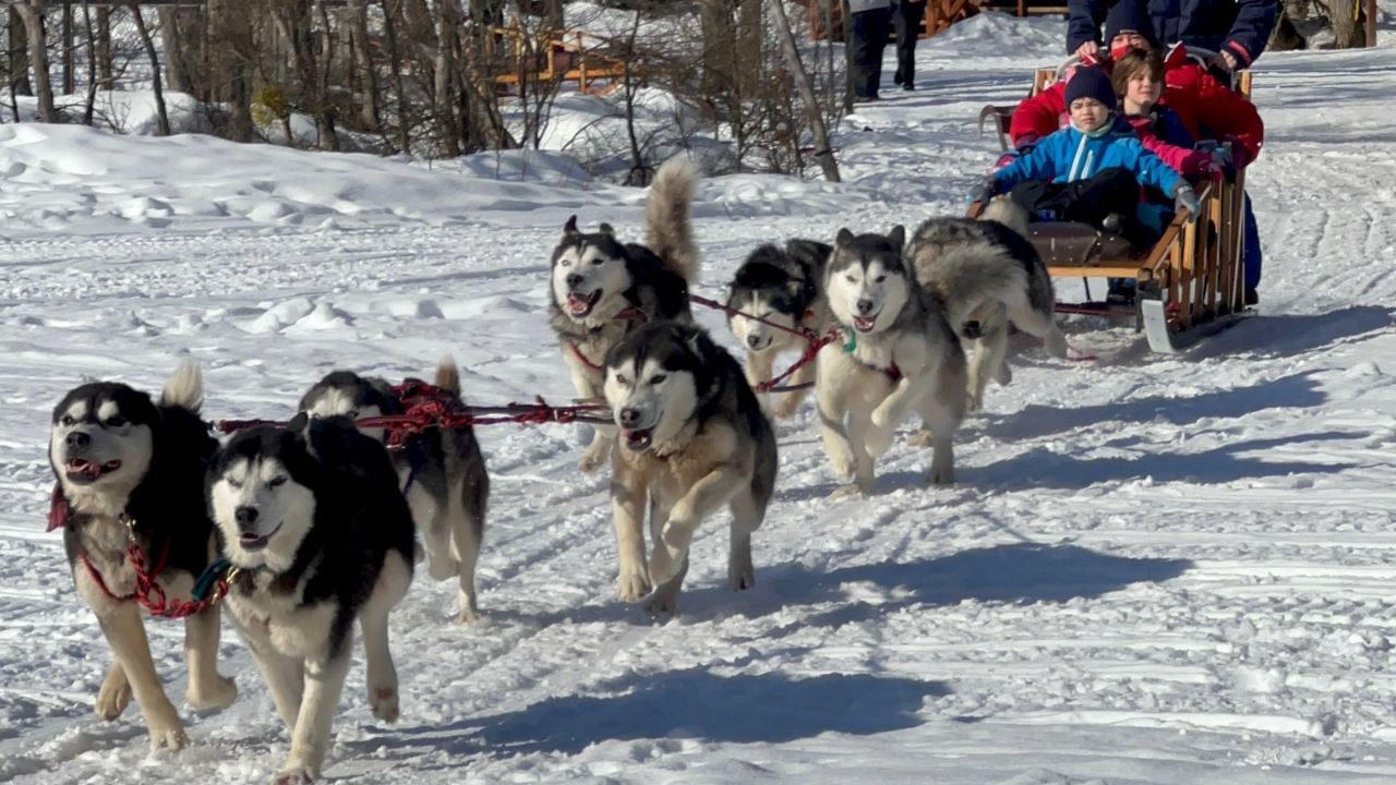 Experiencia Inverval De Día Completo Con Huskies, Raquetas Y Motos De Nieve