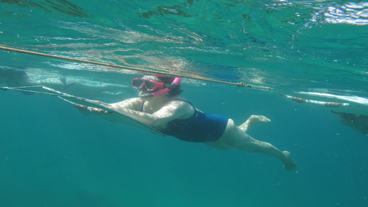 Paseo En Barco Al Atardecer