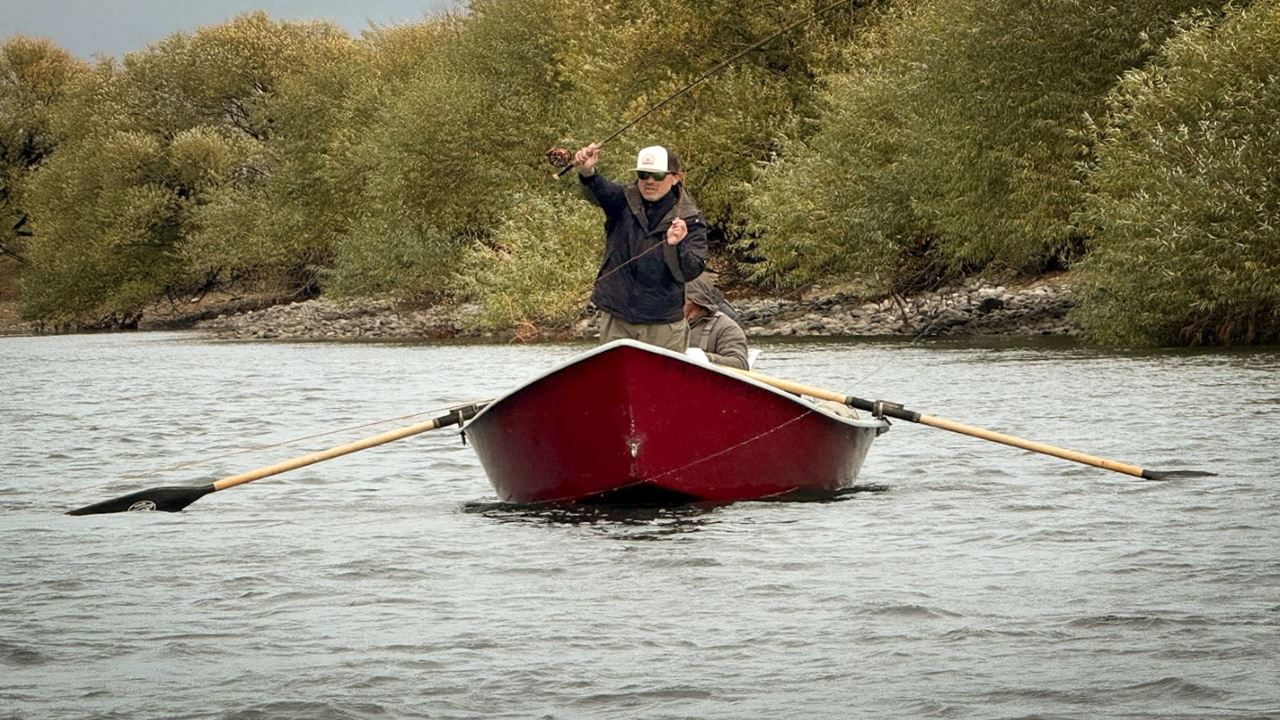 Pesca Con Mosca En El Rio Manso