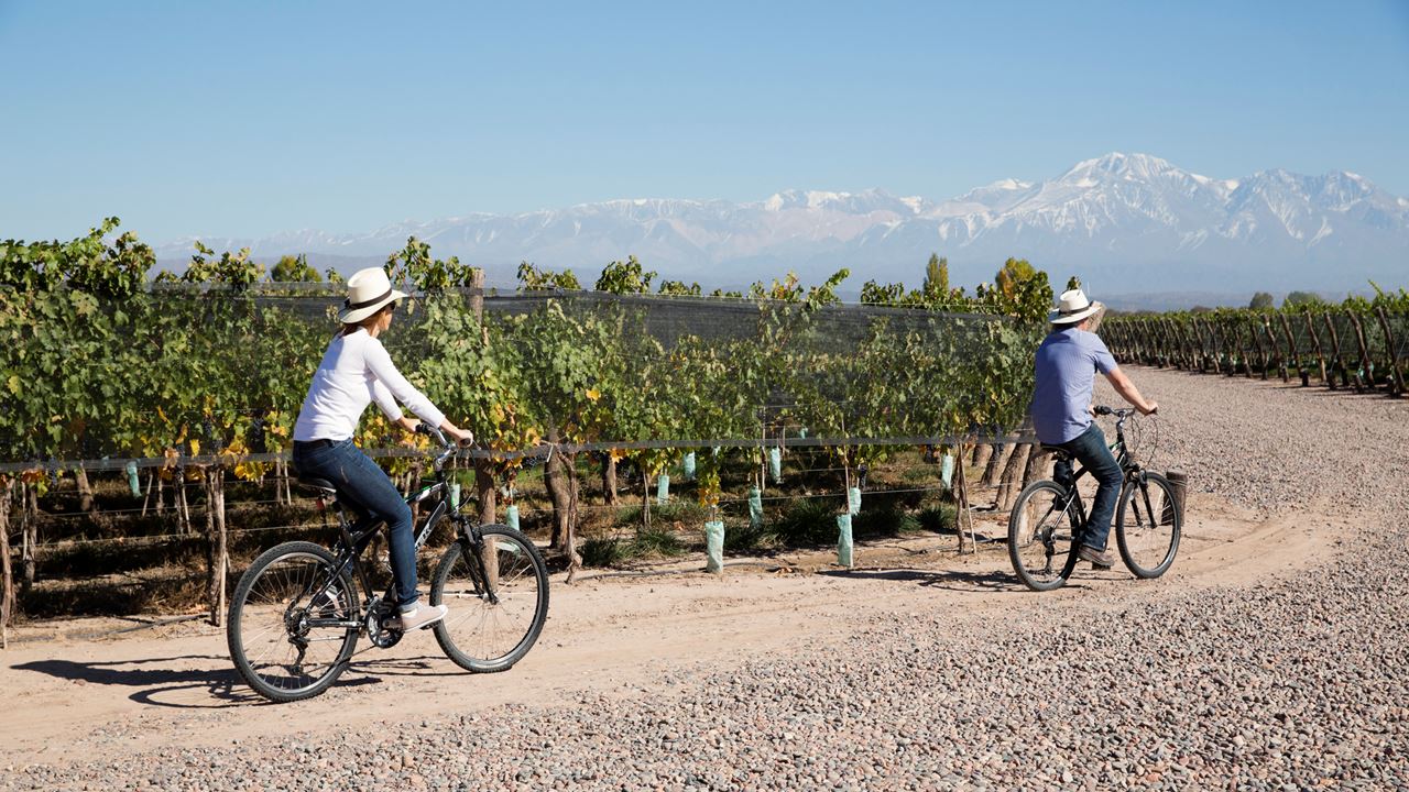 Ruta En Bici Por Bodegas