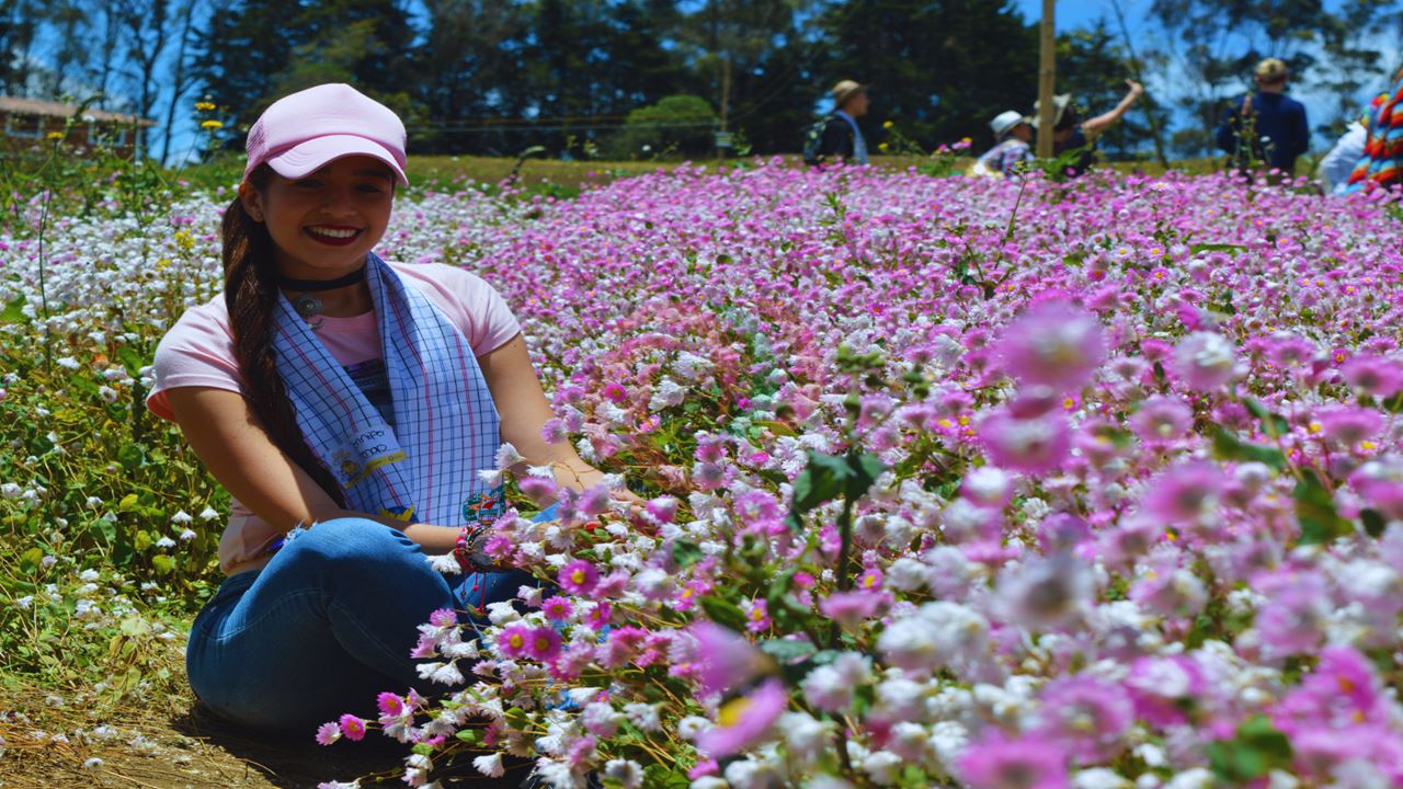 Flower Growers Tour In Santa Elena - Flower Fair 2026