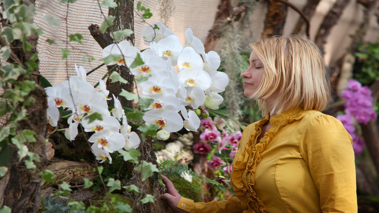 Flower Fair: Orchid And Nature Tour