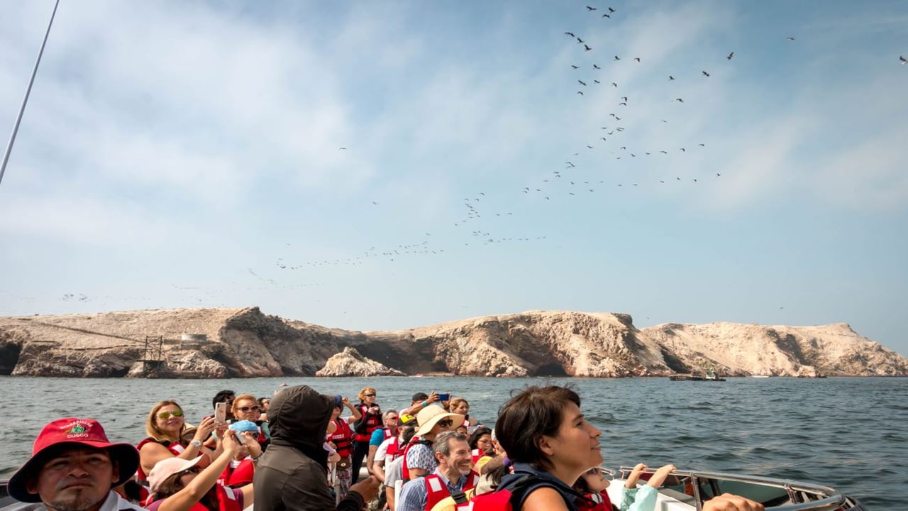 Classic Paracas