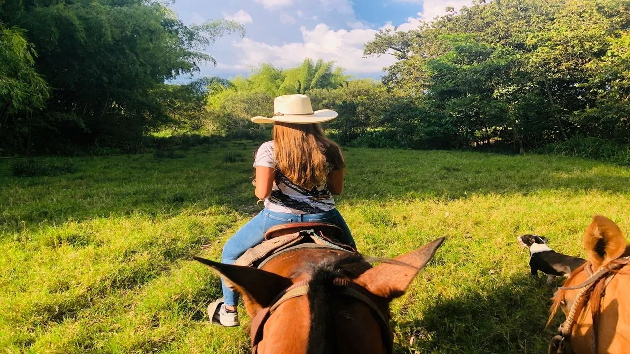 Cabalgata Por El Paisaje Cafetero