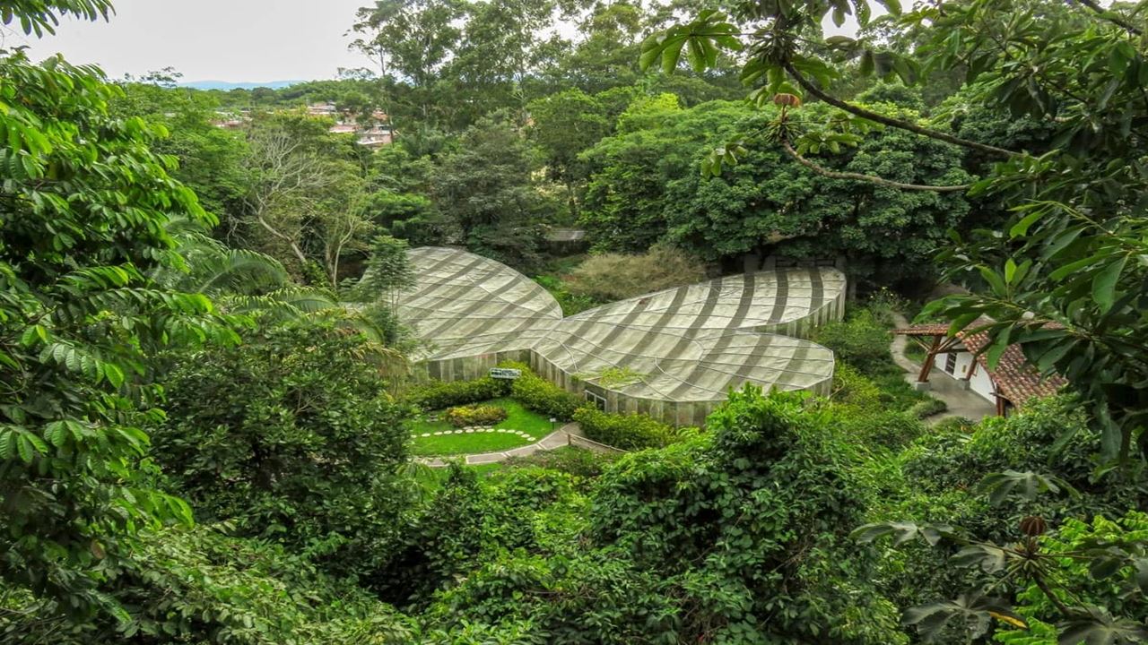 Recorrido Por El Jardín Botánico Y Mariposario Del Quindío