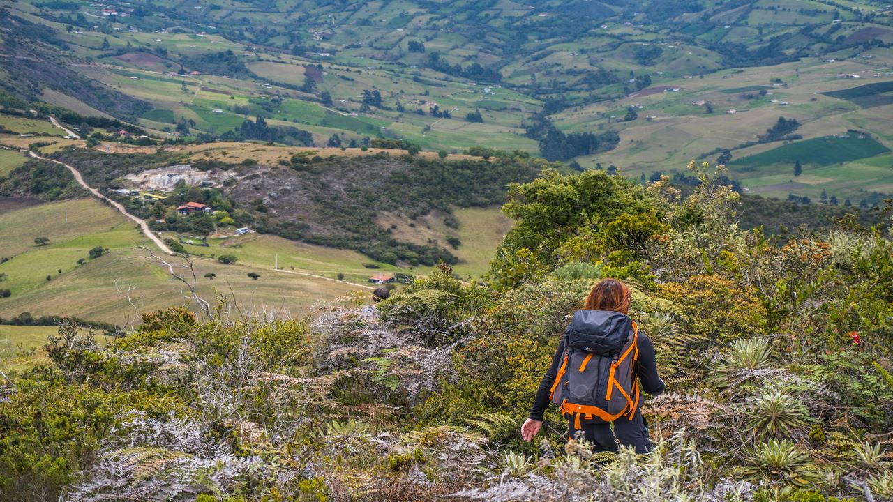 Natureza E Tradição De Bogotá