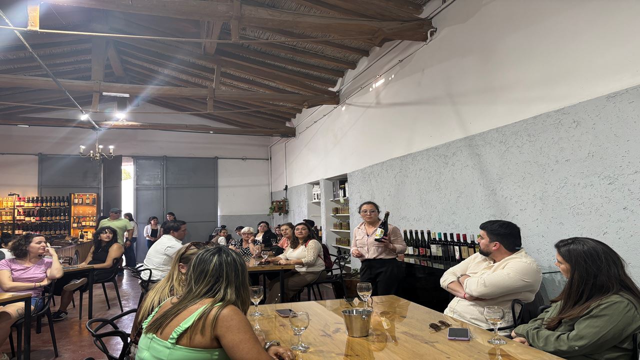 Promo: Wineries, High Mountains And Airport Transfers