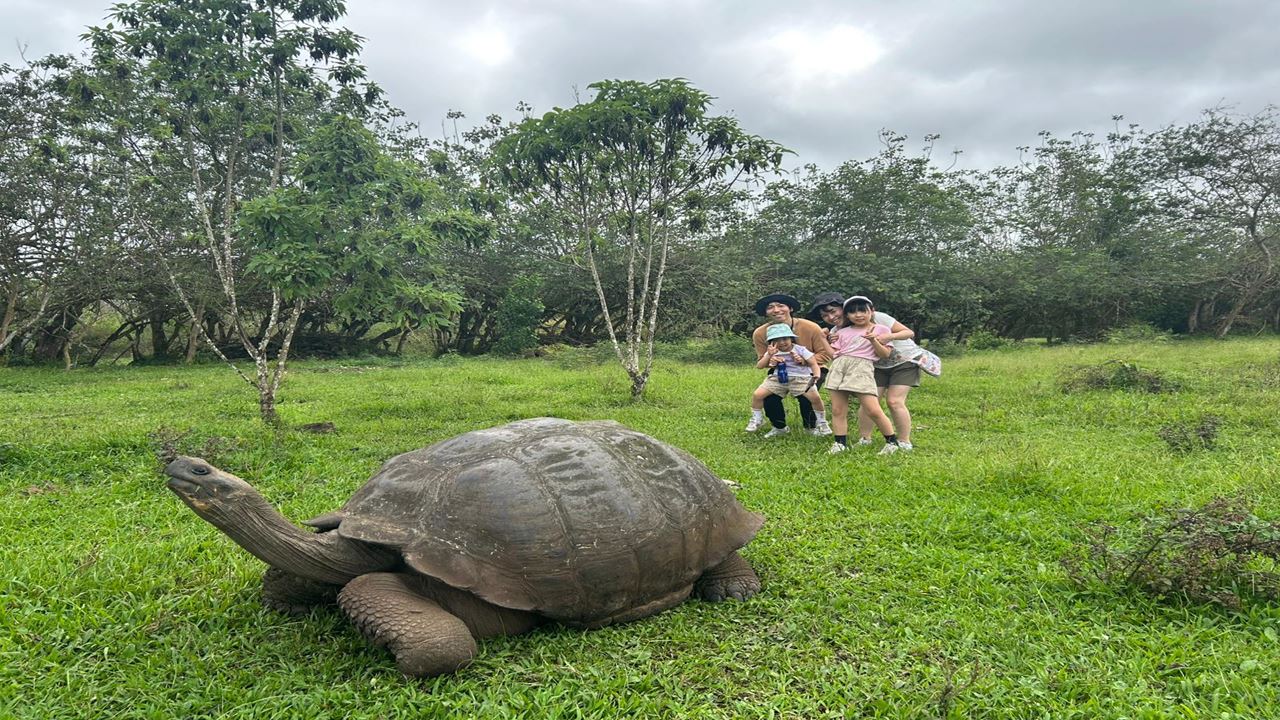 Oberes Santa Cruz: Riesenschildkröten, Lavatunnel Und Die Zwillinge
