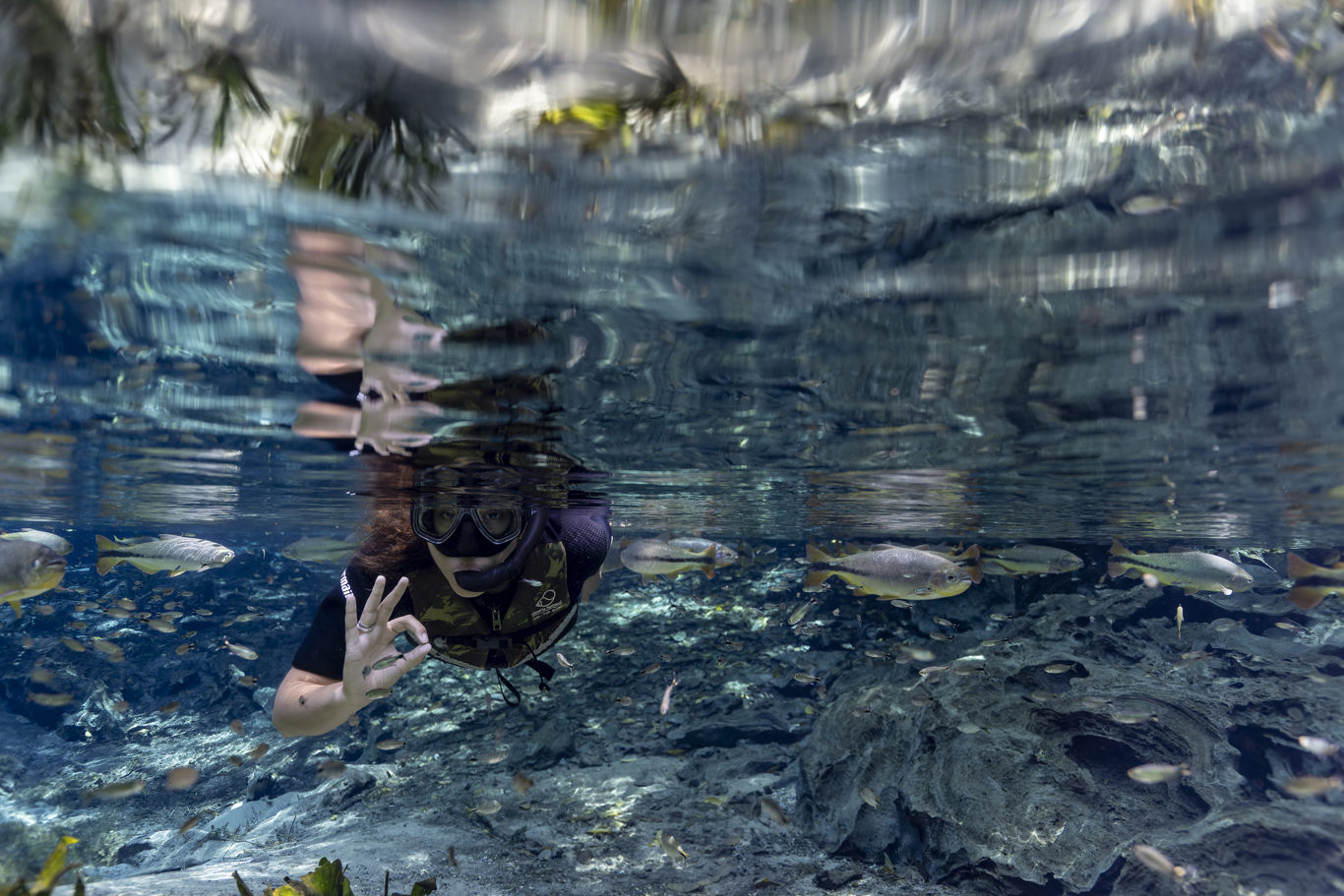 Natürliches Aquarium – Schwimmkörper