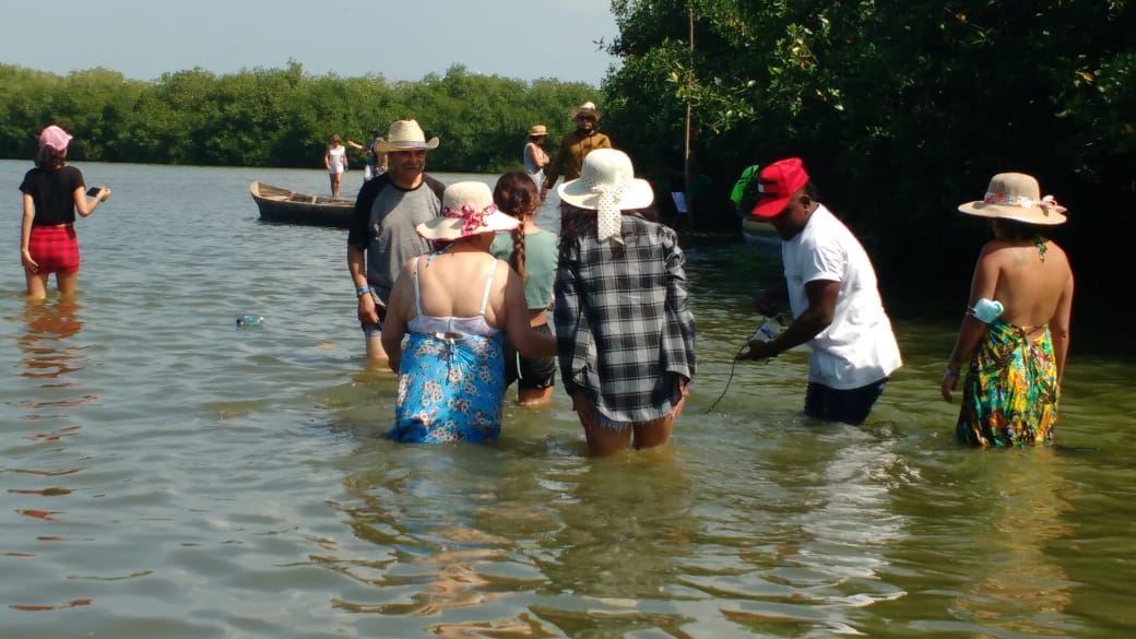 Tour En Canoa Por Los Manglares De La Boquilla