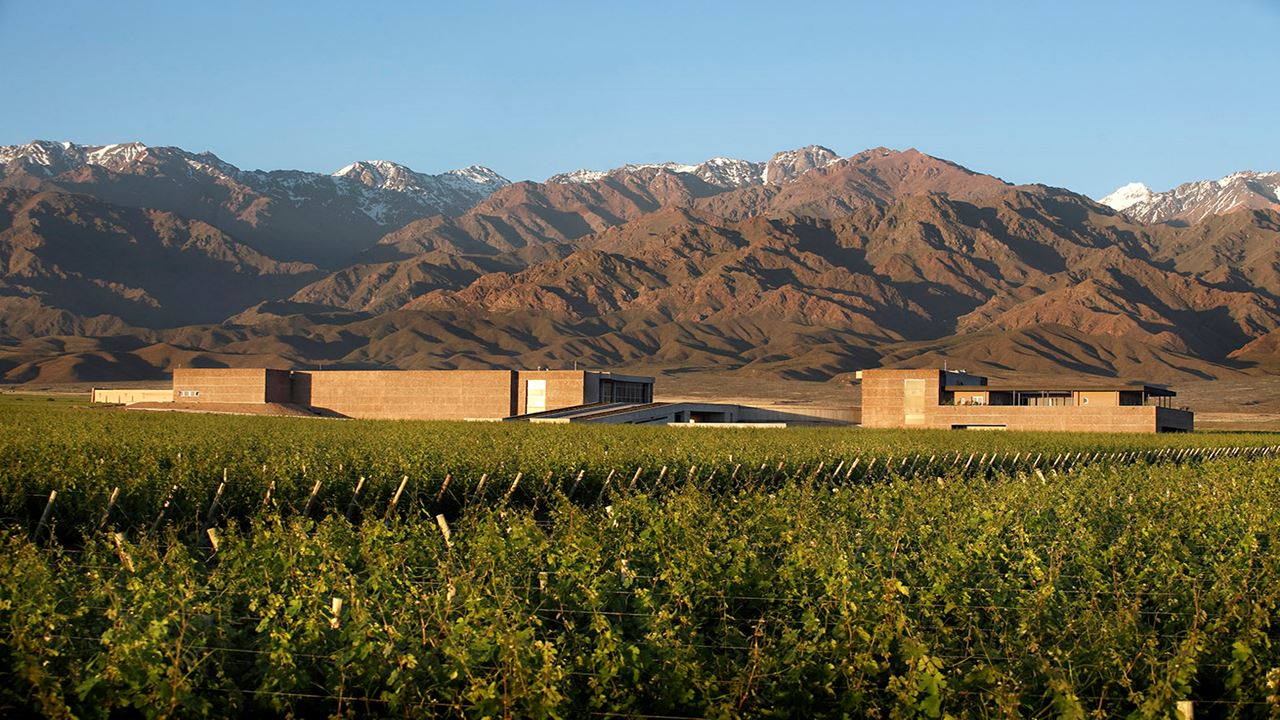 Tour Privado De Vinos En Valle De Uco