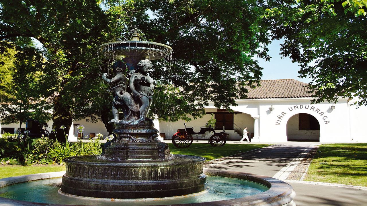 Tour Y Degustacion A Viña Undurraga Desde Santiago