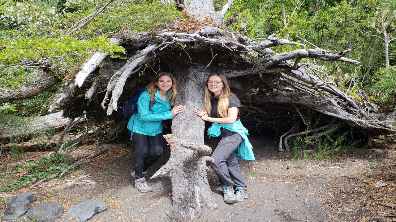 Trek Y Relax En Playa El Rincón, Parque Nacional Vicente Perez Rosales