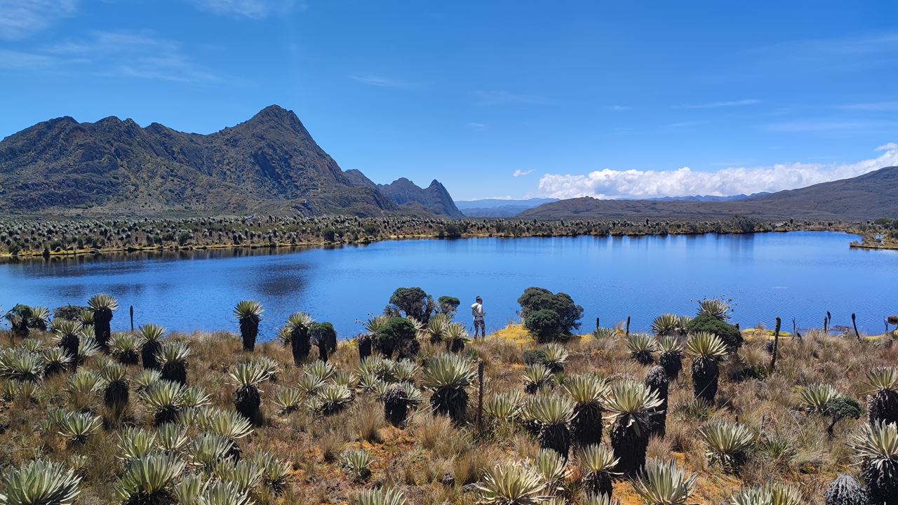 Trekking Al Páramo De Sumapaz