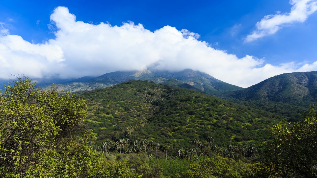 Trekking Parque Nacional La Campana