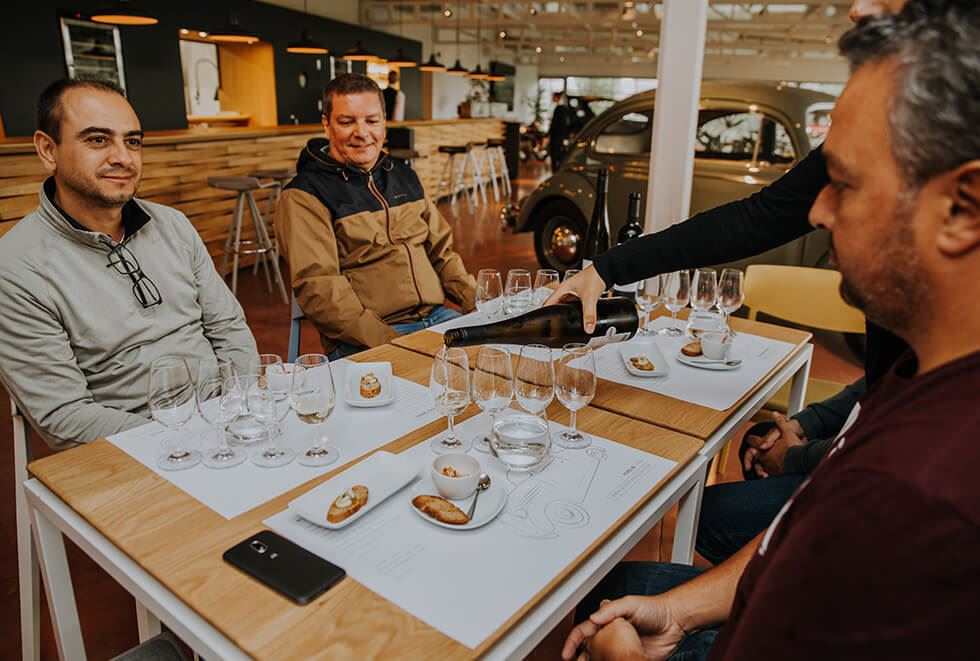 Visita, Degustación Y Almuerzo En Bodega Bouza