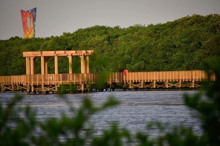 Visita Guiada Al Parque Ciénaga De Mallorquín