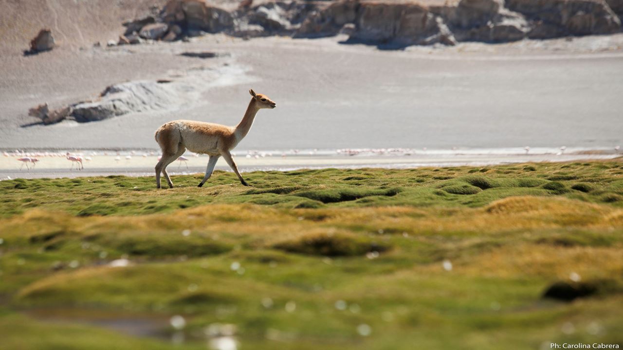 Vulcão Galan Em 4x4